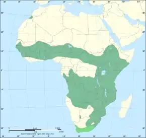 Description de l'image Serval range IUCN.svg.
