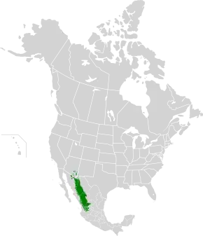 Description de l'image Sierra Madre Occidental Pine-Oak Forests map.svg.