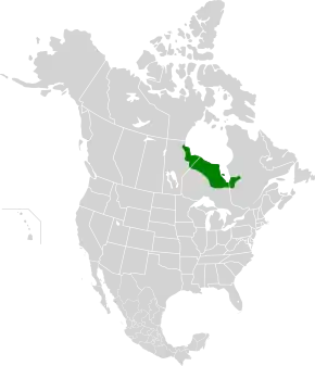 Description de l'image Southern Hudson Bay Taiga map.svg.