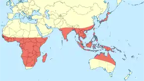 Description de l'image Tholymis tillarga distribution map.svg.