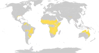 Description de l'image Biome_map_07.svg.