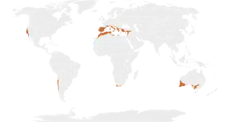 Description de l'image Biome_map_12.svg.