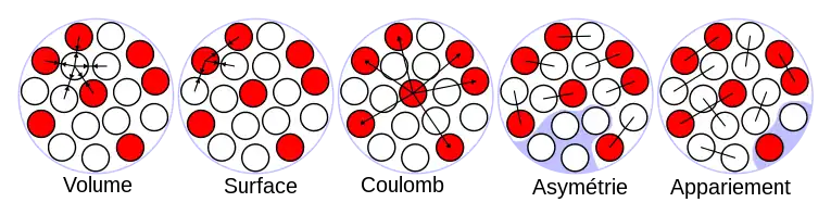 Illustration des termes de la formule de Bethe-Weizsäcker dans le modèle de la goutte liquide du noyau atomique. Les protons sont représentés par les ronds rouges et les neutrons par les ronds blancs.