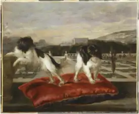 Deux petits chiens (King Charles) sur la terrasse d'un jardin italianisant, Paris, musée du Louvre.