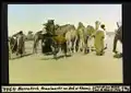 Photographie colorisée du marché aux dromadaires de Bab El Khemis (1929, Leo Wehrli)