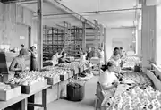 Femmes travaillant dans une usine de masques à gaz à Genève en Suisse, 1914-1918.