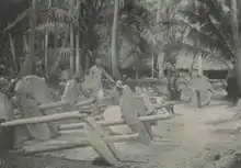 Photo d'une clairière avec des dizaines de monnaies de pierre traversées par des troncs