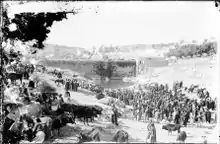 Photo en noir et blanc de bétail et d'Arabes autour d'un bassin.