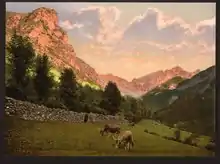 Photographie en couleurs de vaches entourées de montagnes.
