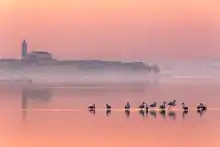 Lesina, un soir ou un matin rose. Décembre 2015.