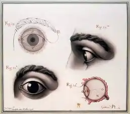 Études de l'œil (1798).