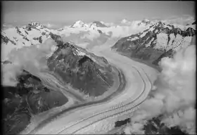 Vue du glacier d'Aletsch avec, au dernier plan, le Walcherhorn, au centre à droite, entre l'Eiger à sa gauche et le Gross Fiescherhorn à sa droite, photographiés en 1949.