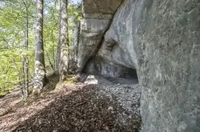 Image illustrative de l’article Grotte de Cotencher