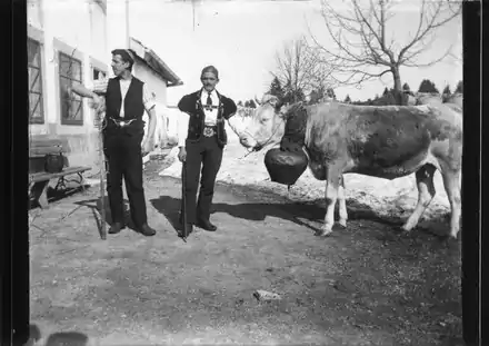 Armailli portant le bredzon, vers 1900-1930 aux Franches-Montagnes.