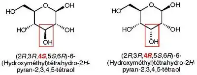 Épimère du β-D-glucose