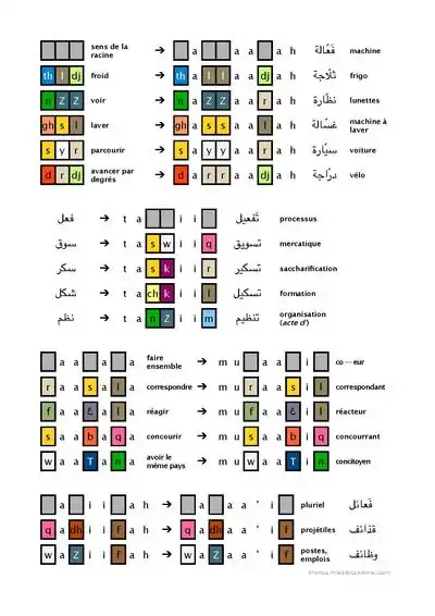 Exemples de la racine et forme arabes